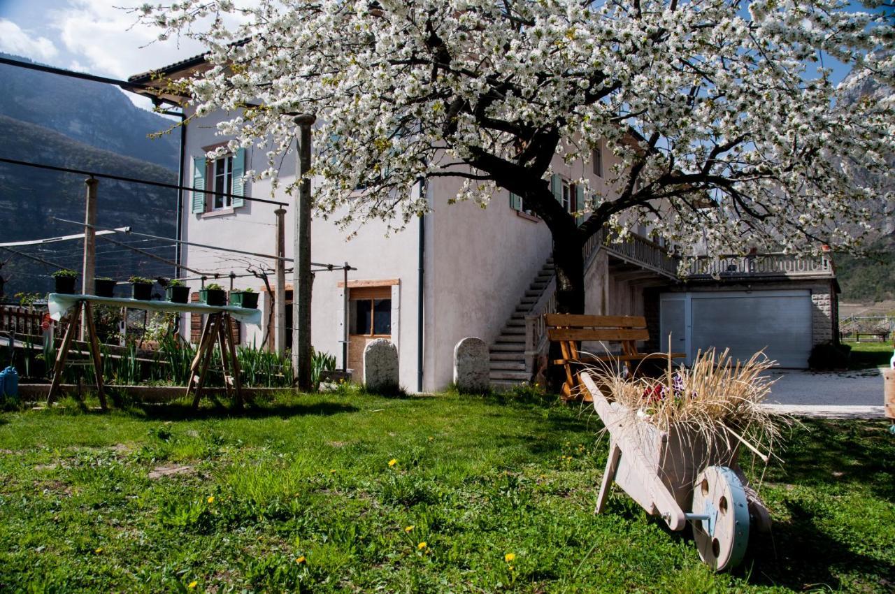 B&B La Fosina Mezzolombardo Eksteriør bilde
